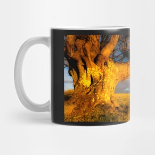 Welsh Evening Light Mug